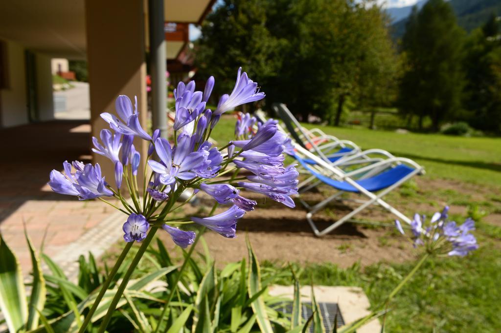 La Casa Al Noce Mezzana (Trentino Alto Adige) Quarto foto